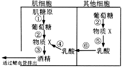 菁優(yōu)網(wǎng)