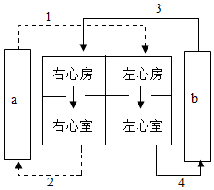 菁優(yōu)網(wǎng)