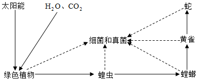 菁優(yōu)網(wǎng)