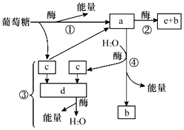 菁優(yōu)網(wǎng)