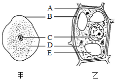 菁優(yōu)網(wǎng)