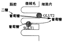 菁優(yōu)網