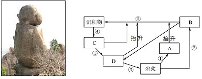 菁優(yōu)網(wǎng)