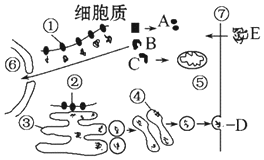 菁優(yōu)網(wǎng)