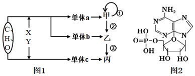 菁優(yōu)網