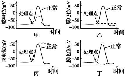 菁優(yōu)網