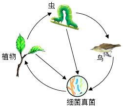 菁優(yōu)網(wǎng)