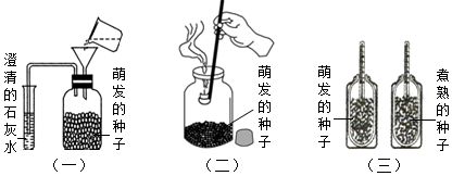 菁優(yōu)網(wǎng)