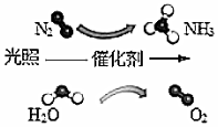 菁優(yōu)網