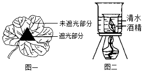 菁優(yōu)網