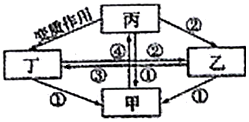 菁優(yōu)網(wǎng)