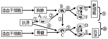 菁優(yōu)網(wǎng)