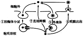 菁優(yōu)網