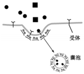 菁優(yōu)網