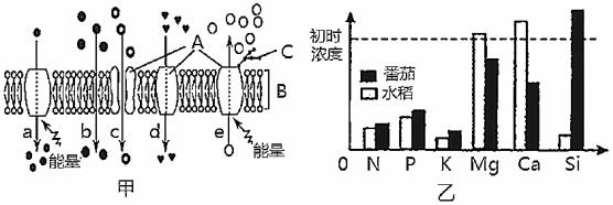 菁優(yōu)網(wǎng)