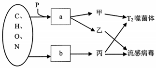 菁優(yōu)網(wǎng)