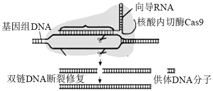 菁優(yōu)網