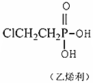 菁優(yōu)網