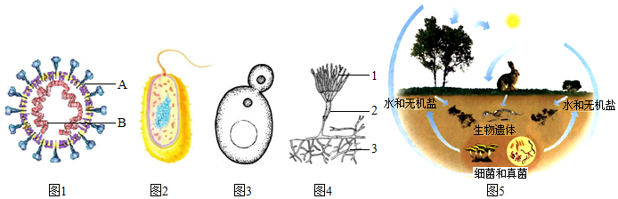 菁優(yōu)網