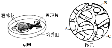 菁優(yōu)網(wǎng)