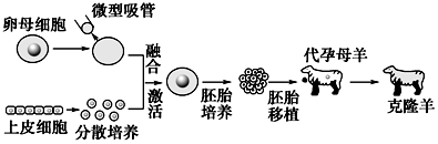 菁優(yōu)網