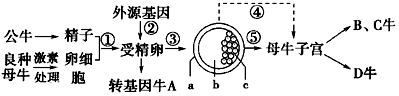 菁優(yōu)網(wǎng)