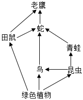 菁優(yōu)網(wǎng)