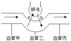 菁優(yōu)網(wǎng)