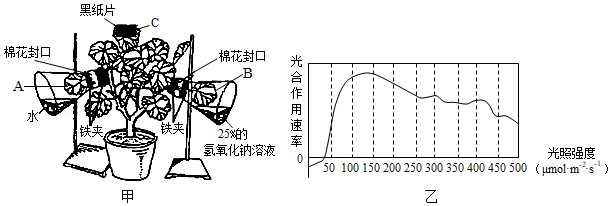 菁優(yōu)網(wǎng)