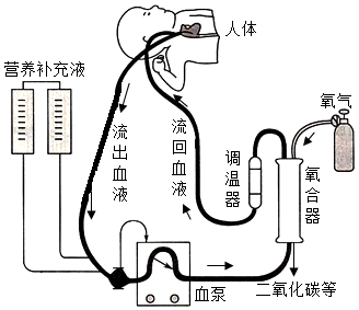 菁優(yōu)網(wǎng)