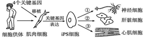 菁優(yōu)網