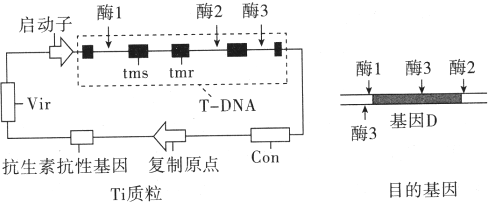 菁優(yōu)網