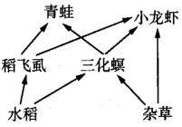 菁優(yōu)網(wǎng)