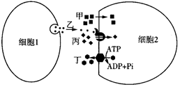 菁優(yōu)網(wǎng)