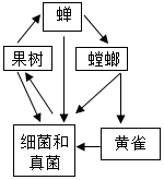 菁優(yōu)網(wǎng)