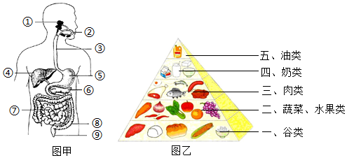 菁優(yōu)網