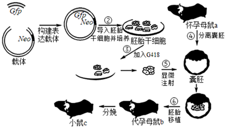 菁優(yōu)網