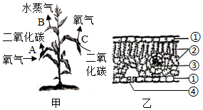 菁優(yōu)網(wǎng)