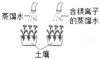 菁優(yōu)網