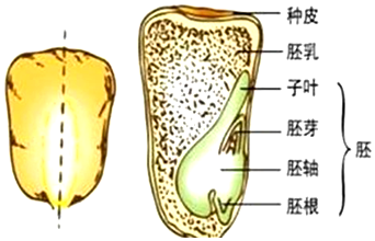 菁優(yōu)網