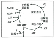 菁優(yōu)網(wǎng)