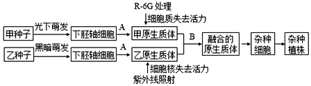 菁優(yōu)網(wǎng)