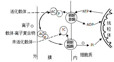 菁優(yōu)網(wǎng)