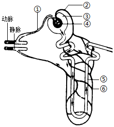 菁優(yōu)網(wǎng)