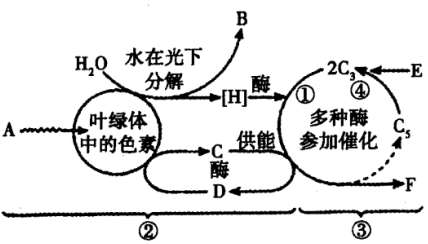 菁優(yōu)網(wǎng)