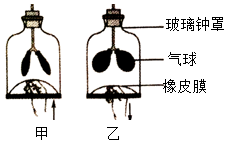 菁優(yōu)網(wǎng)