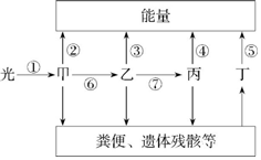 菁優(yōu)網(wǎng)