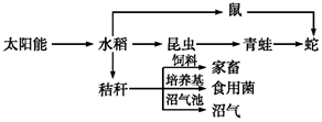 菁優(yōu)網(wǎng)