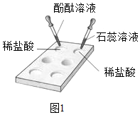 菁優(yōu)網