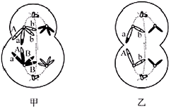 菁優(yōu)網(wǎng)